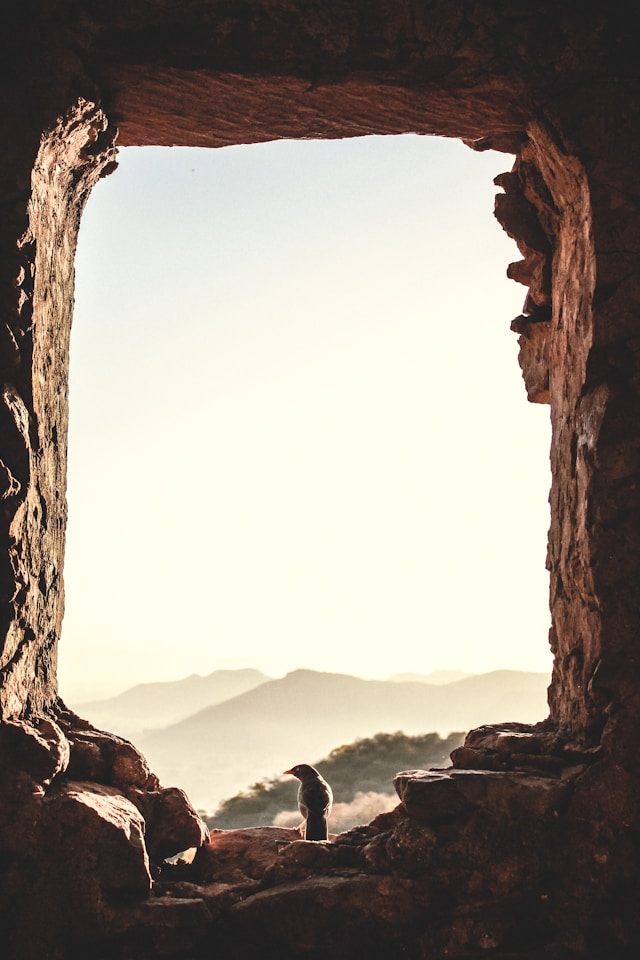 Między tęsknotą a wolnością – życie singla w połowie drogi